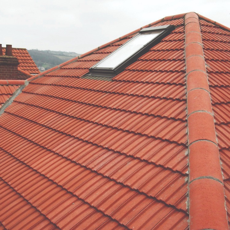 Rhino Roofing project 1