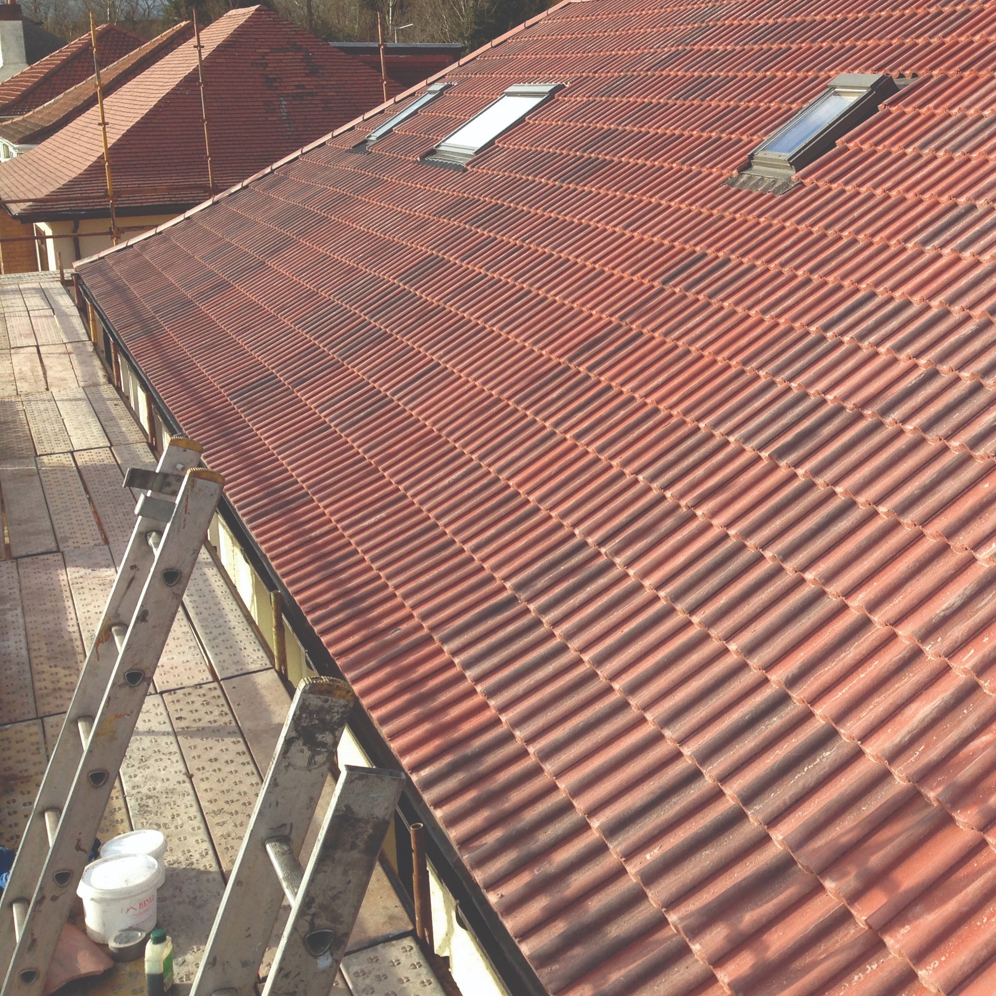 Rhino Roofing project 4